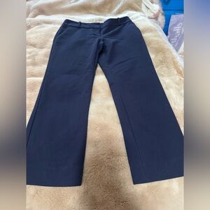 The Limited Dark Blue Trousers 2P